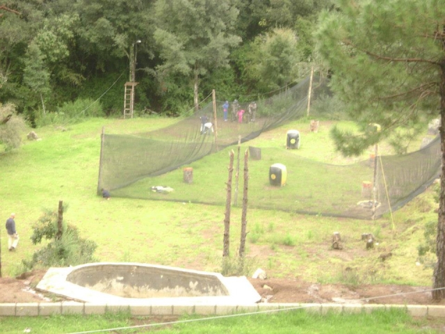  Campo Speedball 